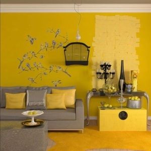 Meet your Posher, Carla